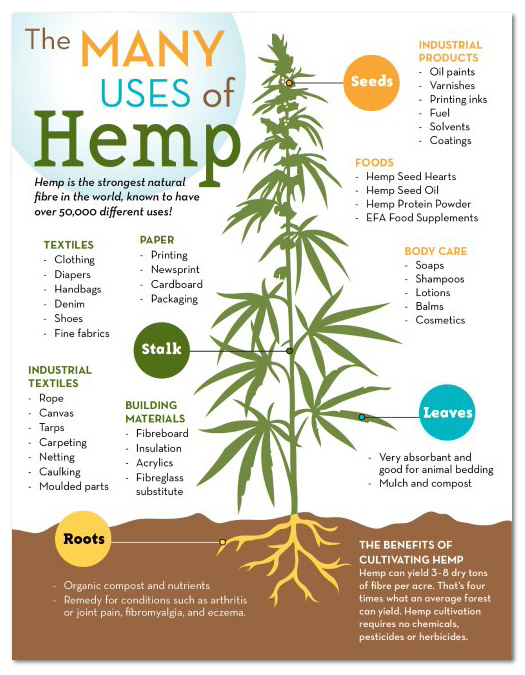 Hemp Info